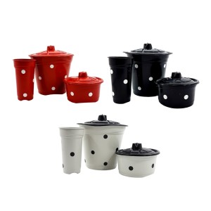 RA1004-KIT PIA POÁ-RAE