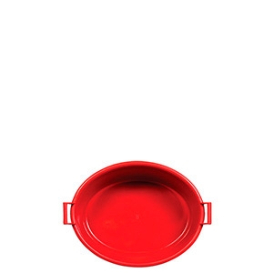 P36-BACIA OVAL GIGANTE 34LTS -PLASNEW