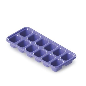 A53-FORMA DE GELO-ARIPLAS